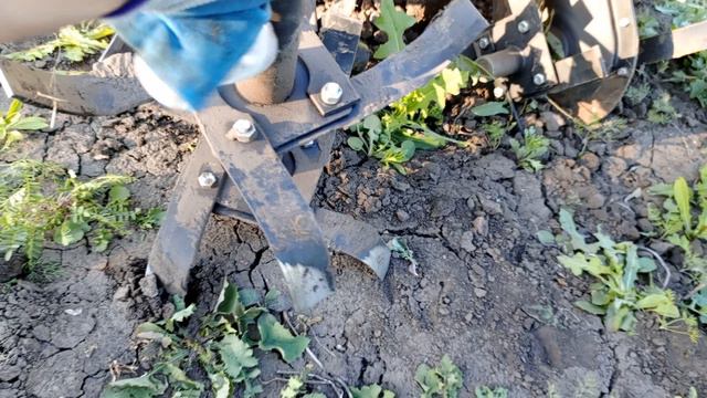 Купить культиватор. 
Краткий обзор культиватора хютер