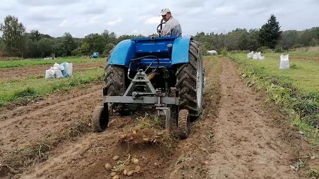 Уборка картофеля / Т-40 и самодельная картофелекопалка