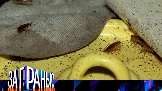 «За гранью»: «Соседи-кровопийцы» | Выпуск от 28 сентября 2023 года