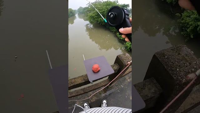 #fishing