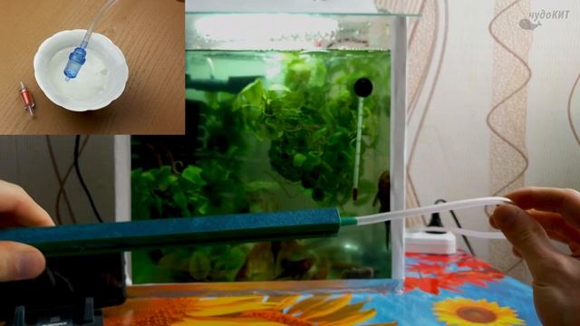 Установка воздушных распылителей в аквариум и мелкие обновления | Посылки из Китая