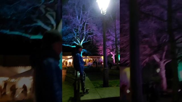 Insel Mainau Christmas Garden 2022 /Germany #shorts