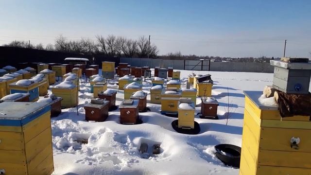 МЕТОДЫ РАСШИРЕНИЯ ПАСЕКИ. Как быстро расширить пасеку?