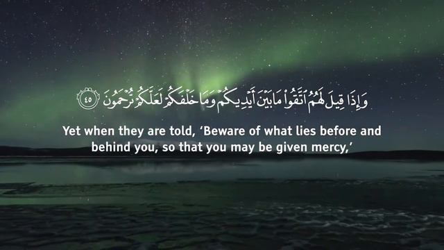 Surah Yasin(Yaseen) by Omar Hisham\Сура Ясин Омар Хишам