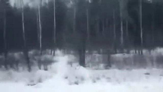 Сергей Наговицын   До свиданья, кореша!  по мотивам песен Сергея Наговицына