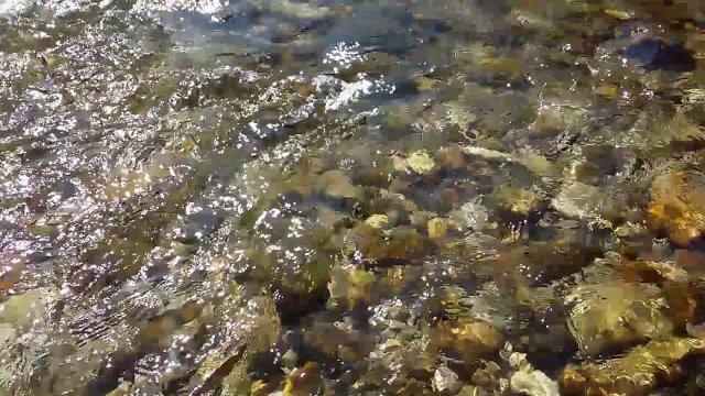 Звуки ручья, плеск Воды и Легкий Ветерок - 8 часов Релакса