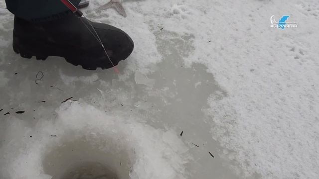 Рыбалка на Ветлуге.