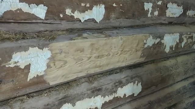 Шлифование стен старого деревянного дома.