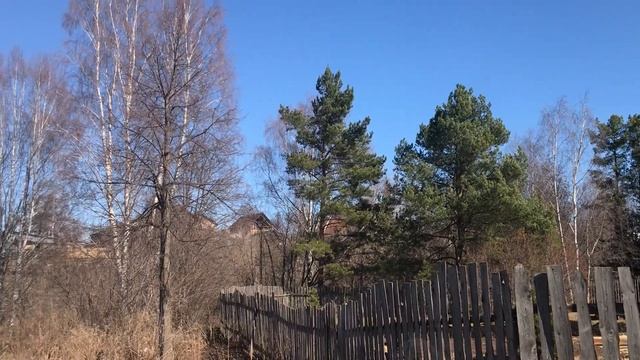 На Муромской дорожке