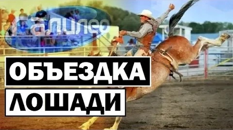 Галилео | 0083 ? Как приручить лошадь?