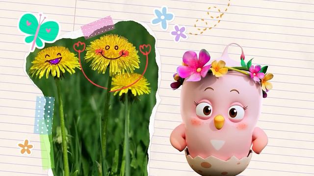 Curious Como SE2 Train Adventure + More Episodes 24min Cartoon video for kids Como Kids TV