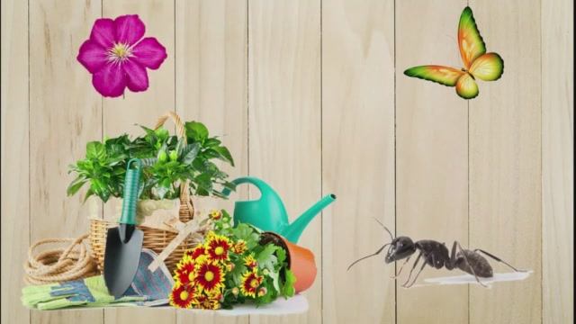 10 полезных лайфхаков для садоводов