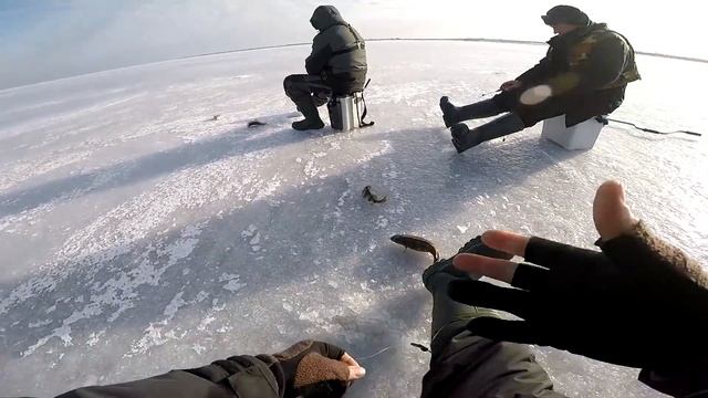 !!! ЛУЧШИЙ БАЛАНСИР НА ОКУНЯ!!!  Ловля окуня на балансир. Ловля крупного окуня. Горбачи