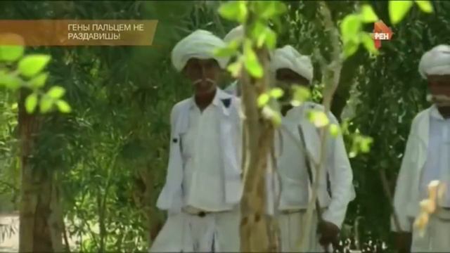 Талыши сейчас и тысяча лет тому назад.