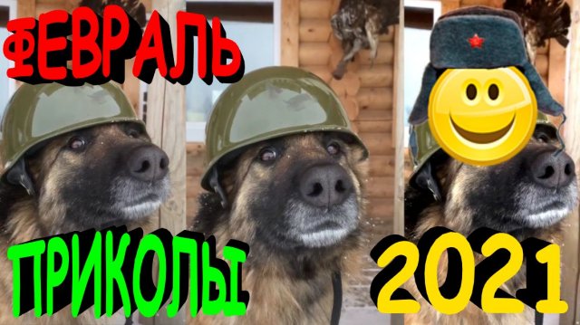 ПРИКОЛЫ 2021 САМЫЕ НОВЫЕ!!!!СМОТРЕТЬ ПРИКОЛЫ 2021!!!#6.mp4