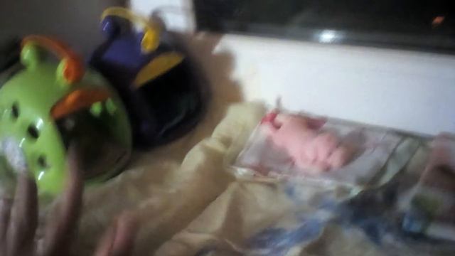 Первое видео😄 Знакомство со Сквиши собачками🤭😉