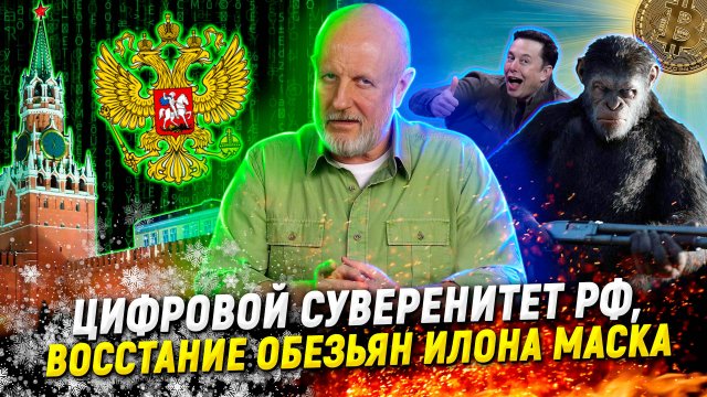 Мозговые чипы и федеральное расследование, снег, деньги, апельсины сонных водителей | В цепких лапах