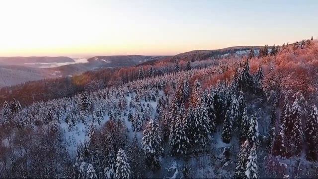 10 часов Природы Земли. Сделано с дрона!