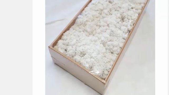 Высококачественный неувядающий искусственный  мох, для дома, гостиной, декоративная стена.
