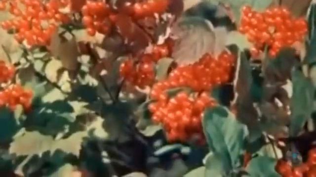 здравствуй песня! сборник песен 70- годов