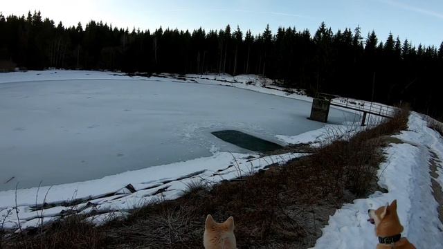 Поход к лесному озеру часть 2