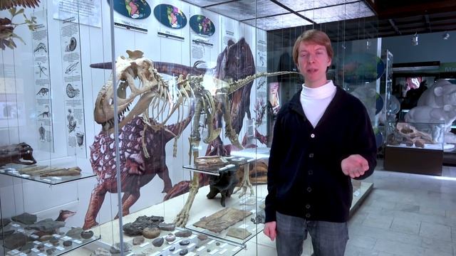 Палеонтология: Как появились динозавры? Ярослав Попов