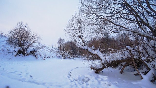 Безмотылка и балансир, РАБОТАЕТ на малой реке ВСЕГДА! Рыбалка зимой со льда в 2022.
