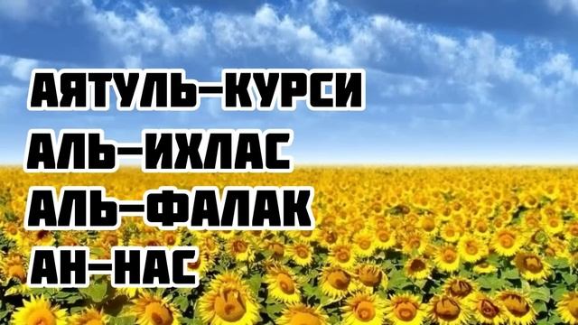 Аятуль-Курси, Аль-Ихлас, Аль-Фалак, Ан-Нас. Слушайте утром и вечером для защиты от всего плохого …