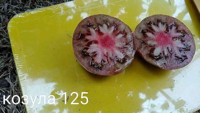 Томат Козула 125 ???