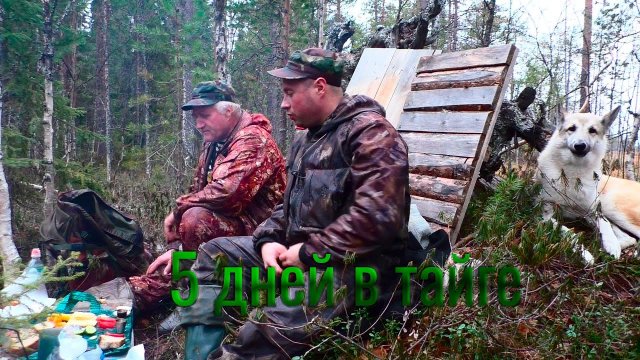 5 дней в тайге. В избе в которой небыли 10 лет. Республика Коми. Охота с лайкой..mp4