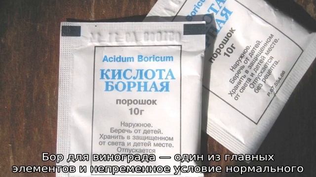Борная кислота для винограда, опрыскивание