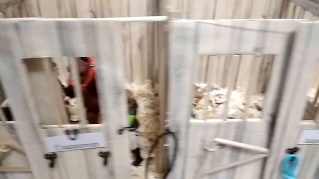 Обзор на самодельную конюшню для игрушечных лошадок schleich и других фирм