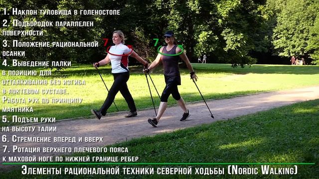 Скандинавская ходьба для начинающих