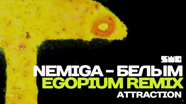 NEMIGA - Белым (EGOPIUM Remix) rework PROfan?