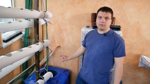 ГИДРОПОНИКА В КВАРТИРЕ СВОИМИ РУКАМИ. Выращиваем огурцы, помидоры и салат