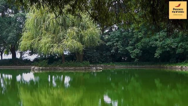 Рассказ мужчины | Измена жены. Разборки и красивая месть мужа. Реальная история