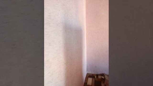 Жидкие обои. Проблемы с жидкими обоями
