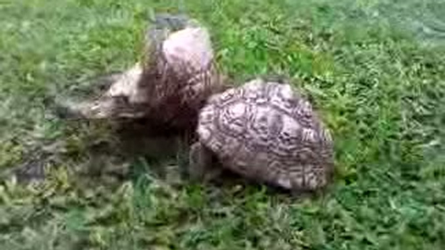 Братская помощь