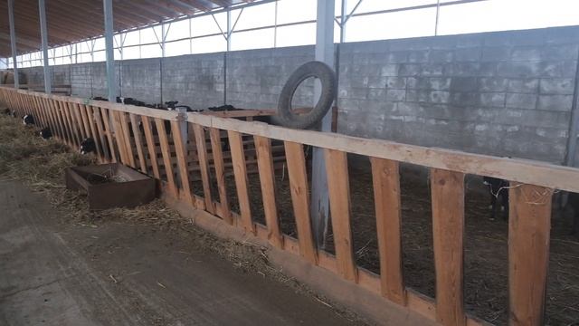 Овчарня, кошара для содержание овец