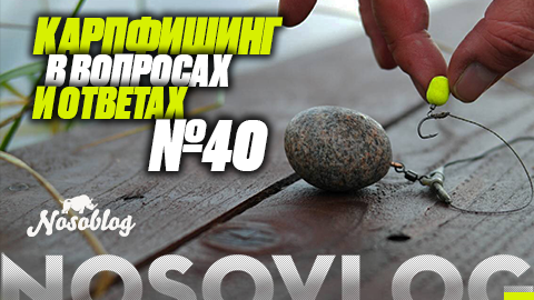 Карпфишинг в вопросах и ответах #40, Артём Колесников