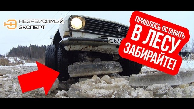 ПРИШЛОСЬ ОСТАВИТЬ МАШИНУ В ЛЕСУ, ЗАБИРАЙТЕ!