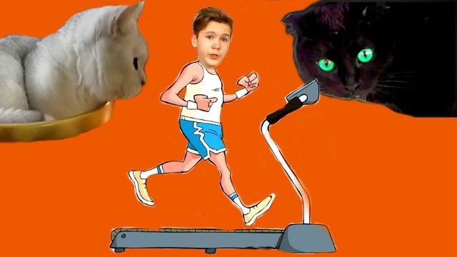 ЧЕЛЛЕНДЖ! ФИТНЕС для КОШЕК!  КАК ПОХУДЕТЬ!!!