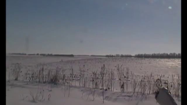 Охота на лису. Охота с МР 18 МН .308 WIN. С нарезным на лису. Predator hunting. Fox hunting