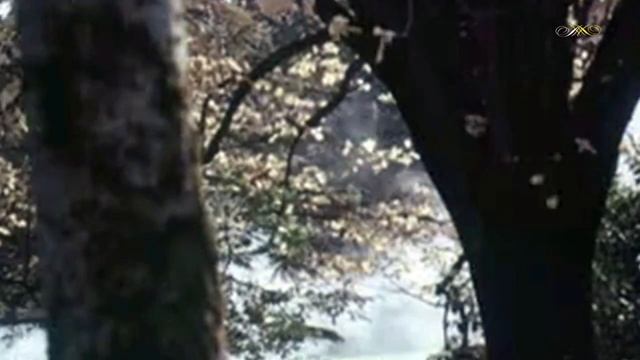 Александр Грибоедов - Вальс / Waltz No. 2 in E minor