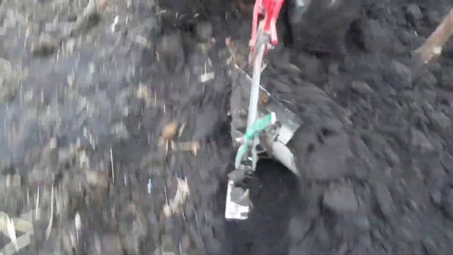 Вспашка по навозу мотоблоком Агро конным оборотным плугом ПО-23.