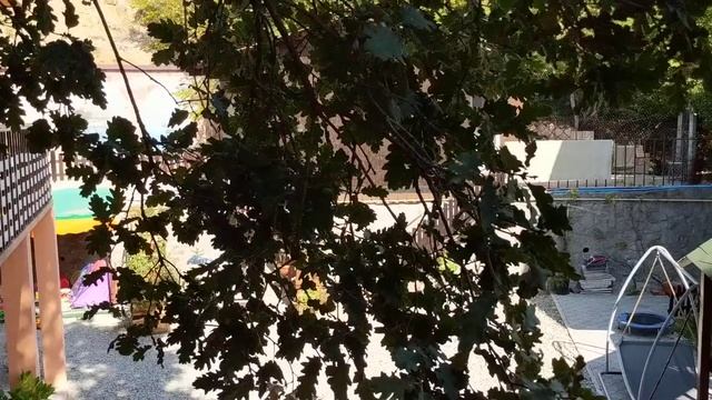 Гостевой дом Лазурный, Гурзуф (ул. Лазурная, д. 5). Романтика в Крыму у скал и под дубами