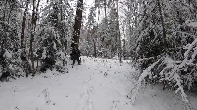 А у нас зима пришла Зимний коп 2018 #005