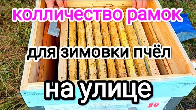 Подготовка пчёл к зимовке! Окончательная сборка гнёзда! ПЧЕЛОВОДСТВО!