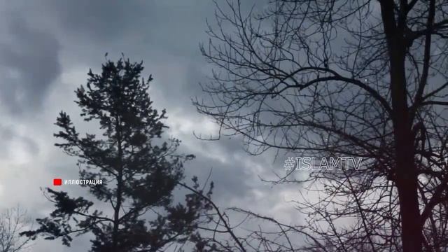 ПРОРОК ПРЕДУПРЕДИЛ НАС, НАМАЗ ЭТИХ ЛЮДЕЙ НЕ ПРИМЕТ ВСЕВЫШНИЙ АЛЛАХ