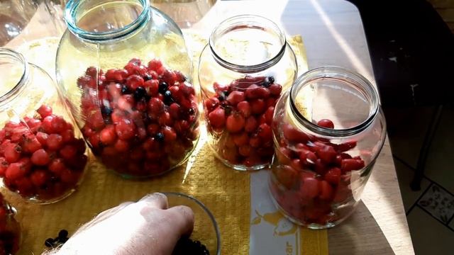 Компот из БОЯРЫШНИКА. Чрезвычайно ВКУСНЫЙ и Простой РЕЦЕПТ компота.